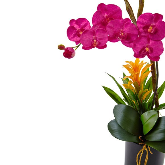 Orchid and Bromeliad in Glossy Black Cylinder - SKU #1478 - 5